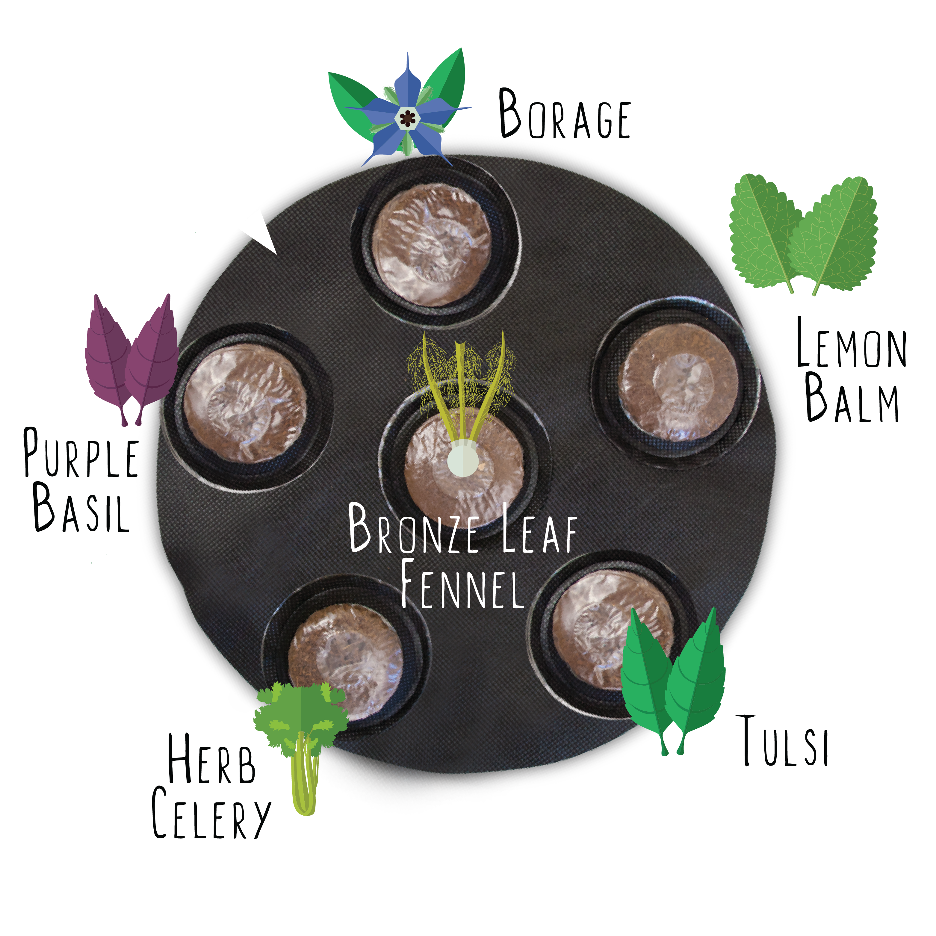 GYO Cocktails Seedsheet - Seedsheet