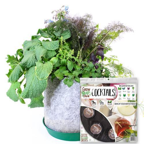 GYO Cocktails Seedsheet - Seedsheet