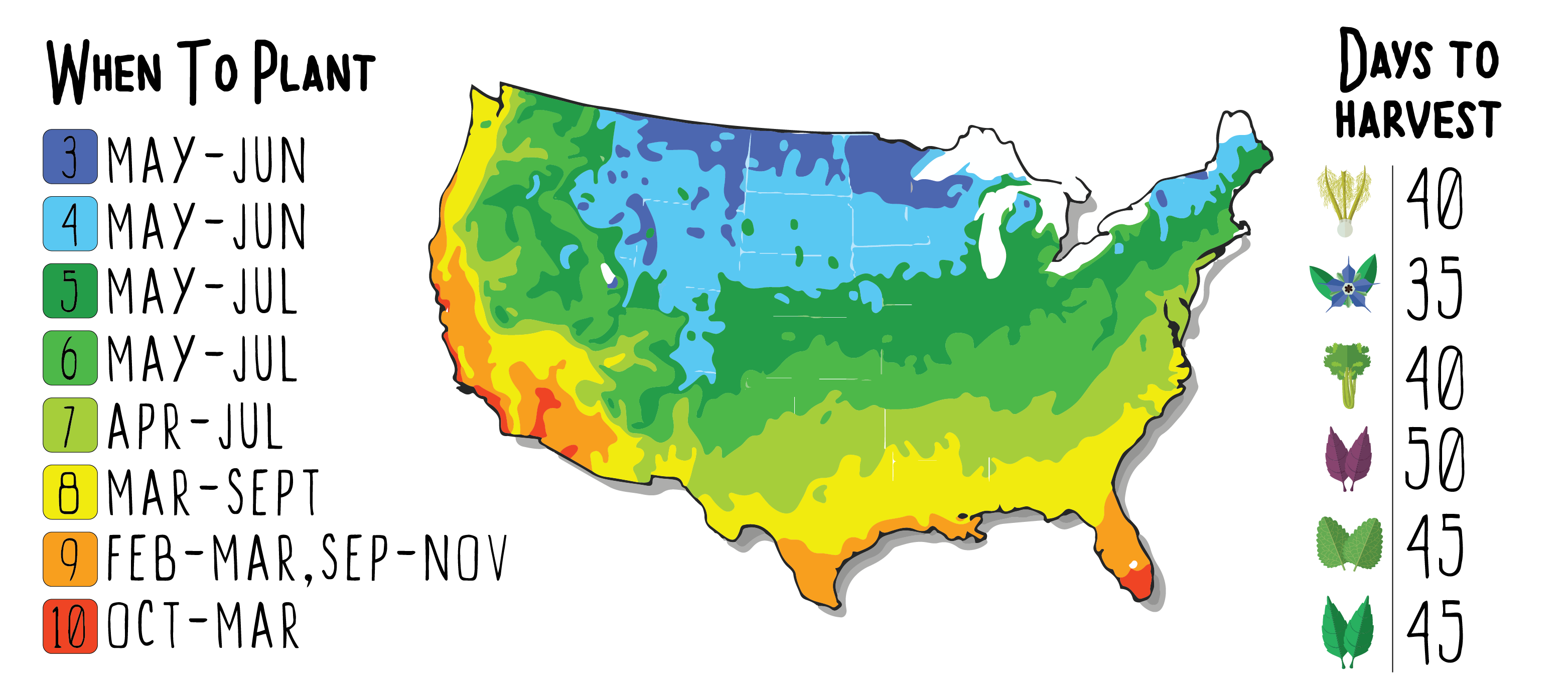 GYO Cocktails Seedsheet - Seedsheet