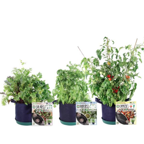 GYO Herbs + Salads + Caprese Seedsheets (3 Pack) - Seedsheet