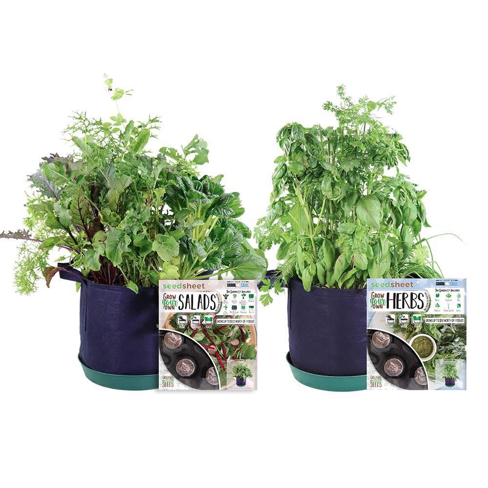 GYO Herbs + Salad Kit (2 Pack) - Seedsheet