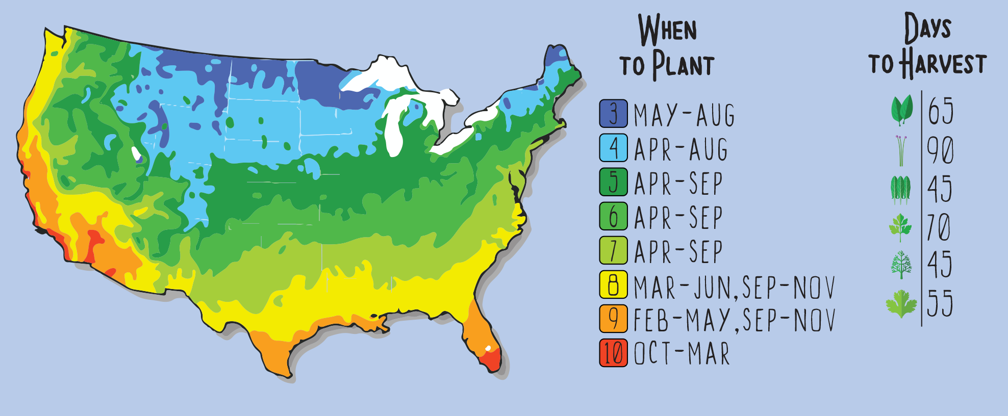 GYO Herbs Seedsheet - Seedsheet
