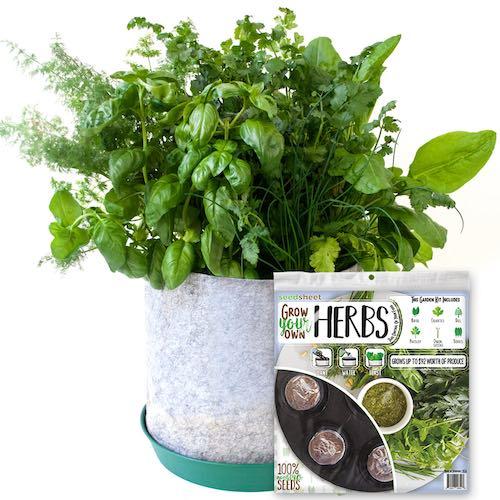 GYO Herbs Seedsheet - Seedsheet