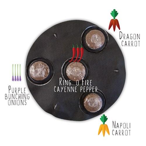 GYO Hot Sauce Seedsheet - Seedsheet