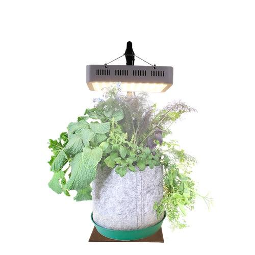 Indoor Garden Kit - Seedsheet