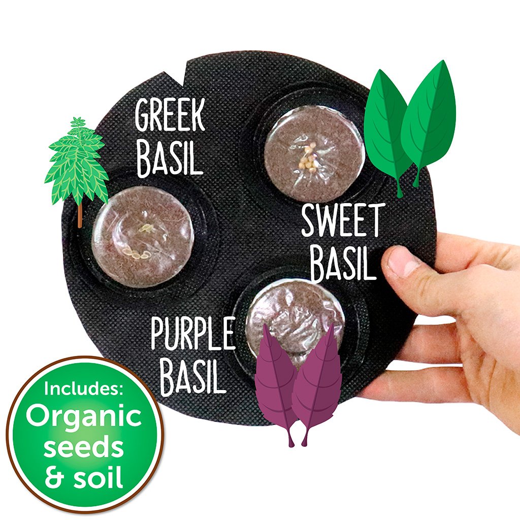 Grow Your Own Mini Pesto Kit - Seedsheet