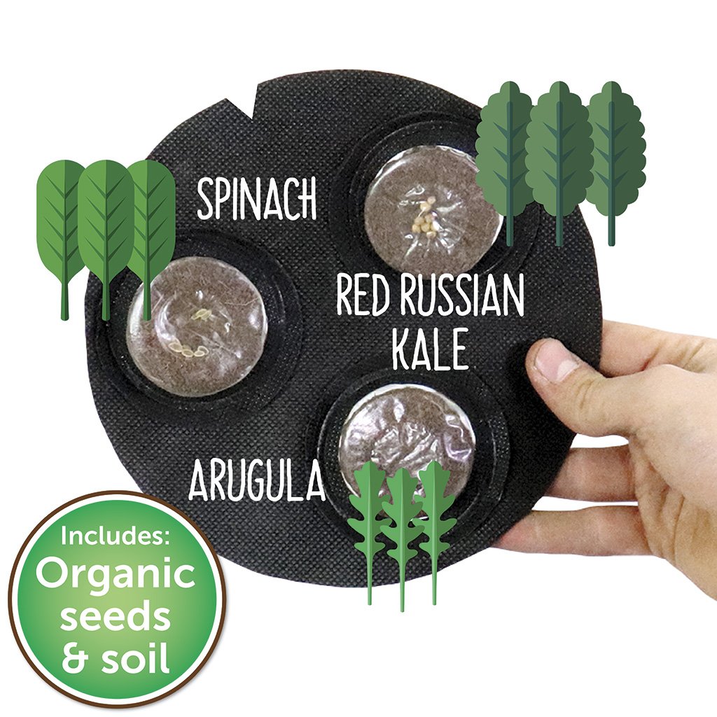 Grow Your Own Mini Salad Kit - Seedsheet