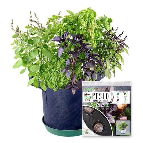 GYO Pesto Seedsheet - Seedsheet