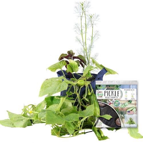 GYO Pickles Seedsheet - Seedsheet