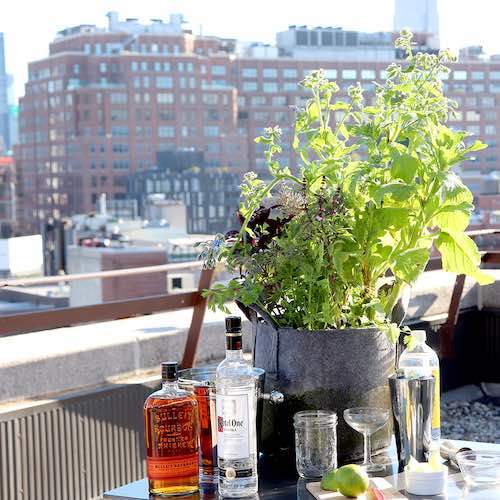 GYO Cocktails Seedsheet - Seedsheet