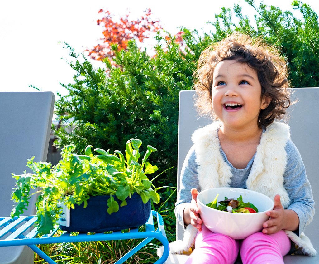 Grow Your Own Mini Salad Kit - Seedsheet
