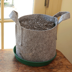 GYO Salads Seedsheet - Seedsheet