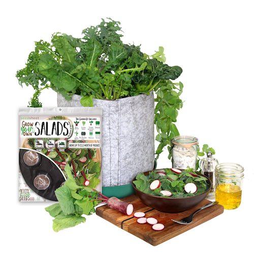 GYO Salads Seedsheet - Seedsheet