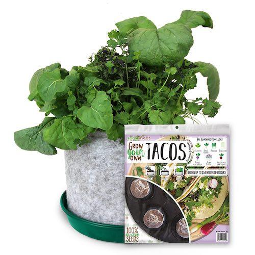 GYO Tacos Seedsheet - Seedsheet