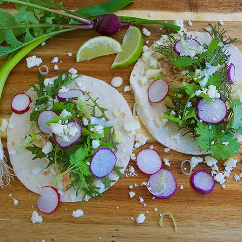 GYO Tacos Seedsheet - Seedsheet