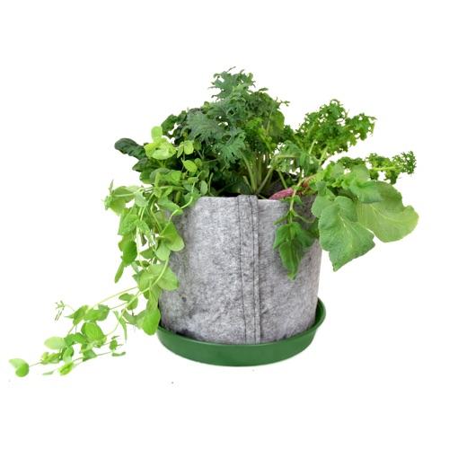 Garden Container - Seedsheet