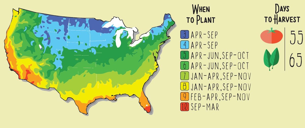 GYO Caprese Seedsheet - Seedsheet