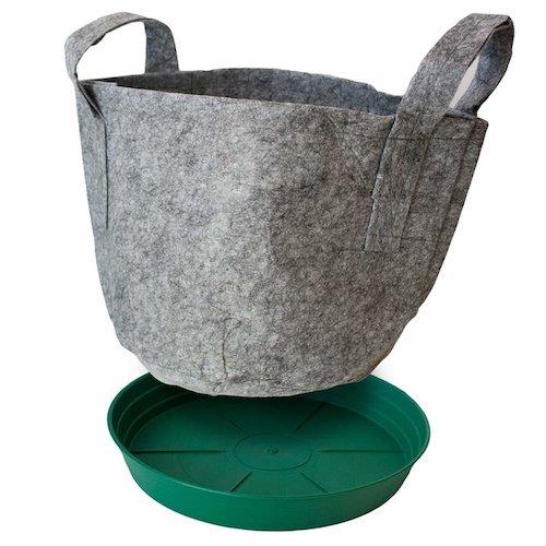 Garden Container - Seedsheet