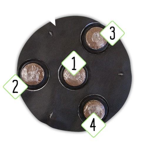 Custom Container - Big Plants - Seedsheet