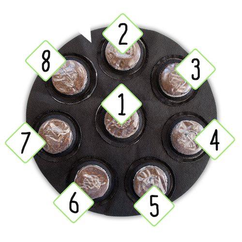 Custom Container - Small Plants - Seedsheet