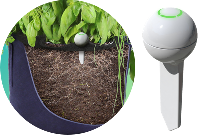 Garden Guru Sensor - Seedsheet