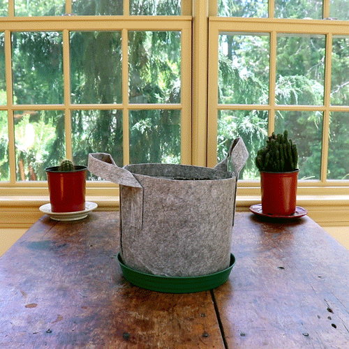 GYO Herbs + Salad Kit (2 Pack) - Seedsheet