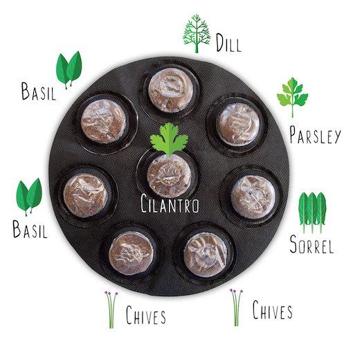 GYO Herbs + Salads + Caprese + Tacos Kit (4 Pack) - Seedsheet