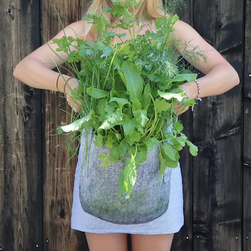 GYO Herbs Seedsheet - Seedsheet