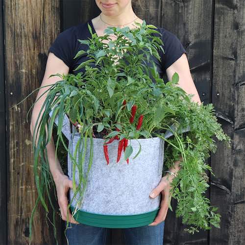 GYO Hot Sauce Seedsheet - Seedsheet