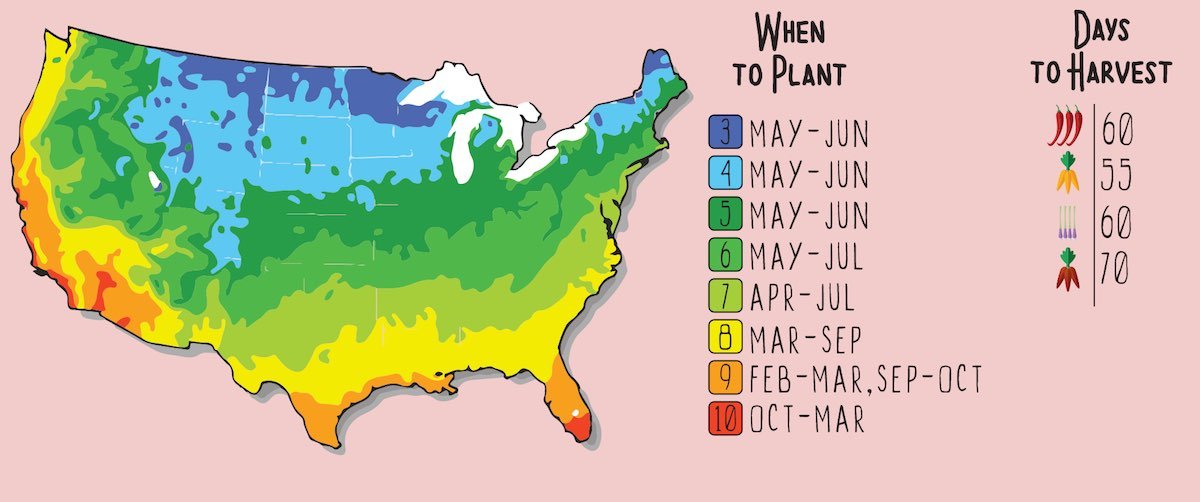 GYO Hot Sauce Seedsheet - Seedsheet