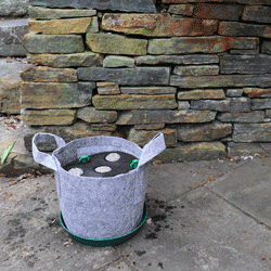 GYO Hot Sauce Seedsheet - Seedsheet