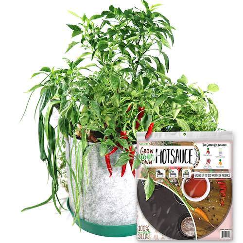 GYO Hot Sauce Seedsheet - Seedsheet