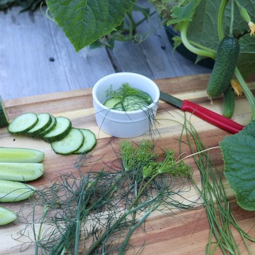 GYO Pickles Seedsheet - Seedsheet