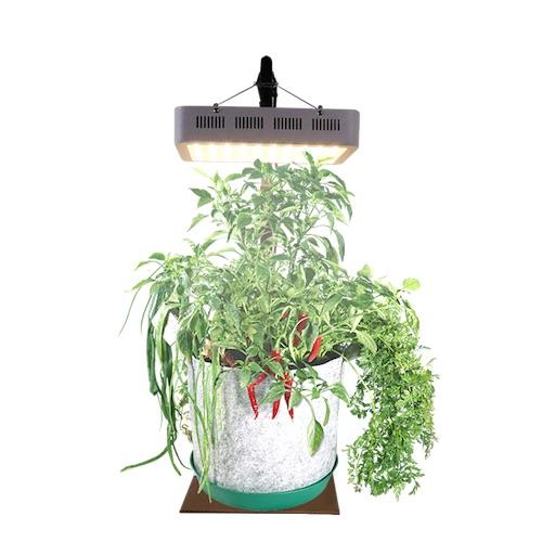 Indoor Garden Kit - Seedsheet