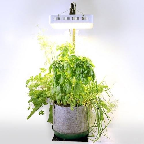 Indoor Garden Kit - Seedsheet