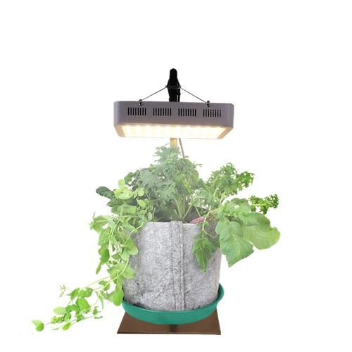 Indoor Garden Kit - Seedsheet