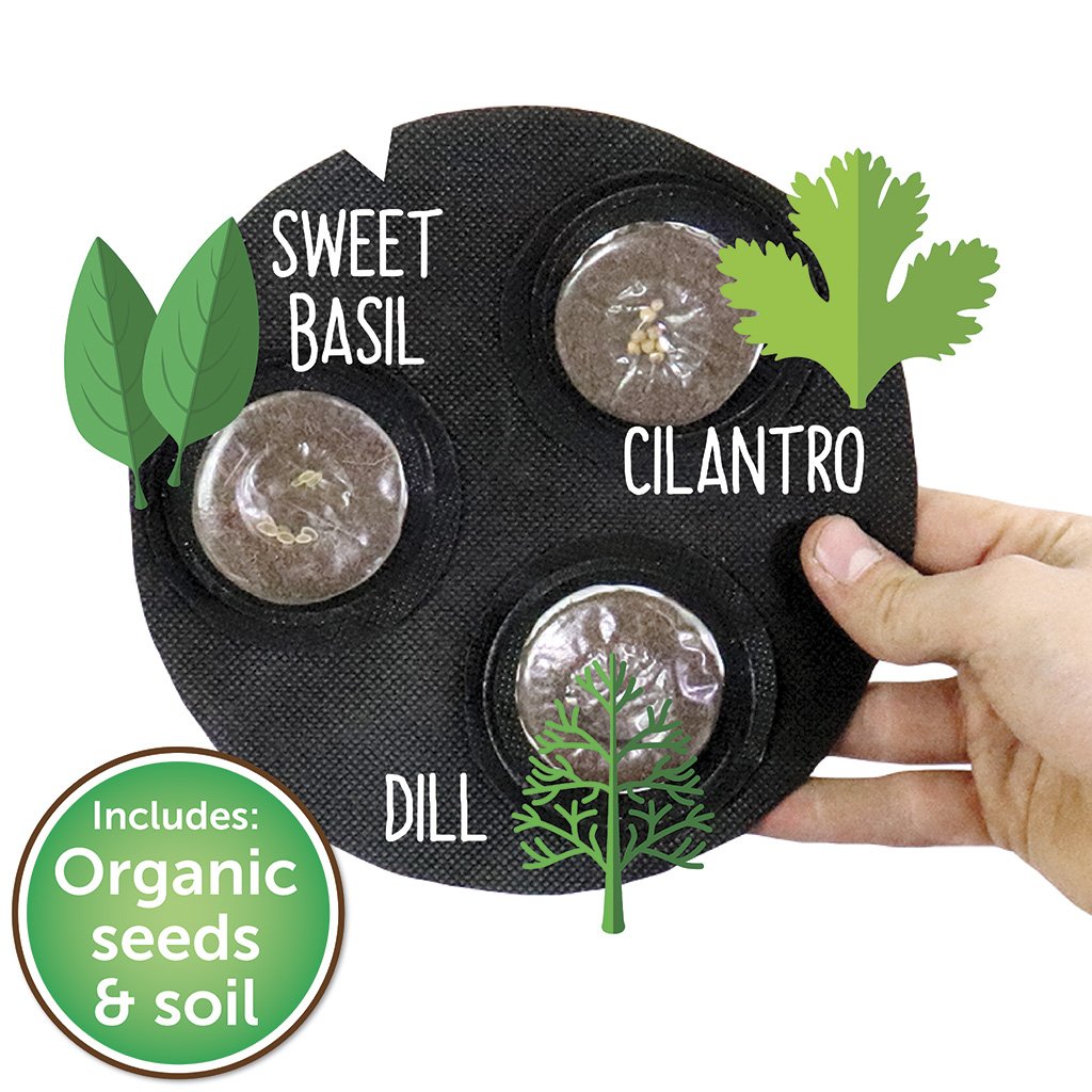 Grow Your Own Mini Herbs Kit - Seedsheet