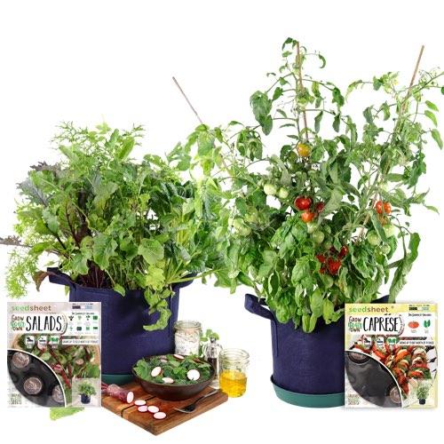 GYO Salads + Caprese Kit (2 Pack) - Seedsheet