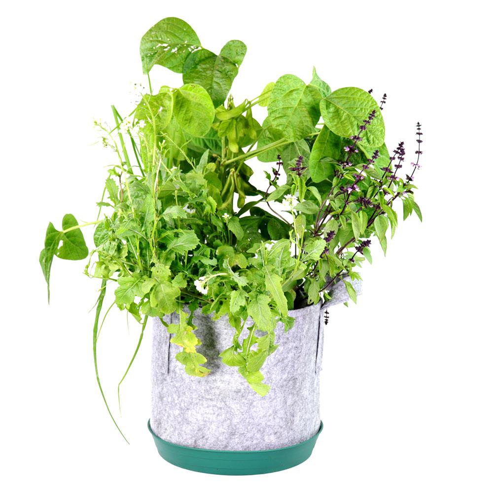 Custom Container Garden Gift - Seedsheet