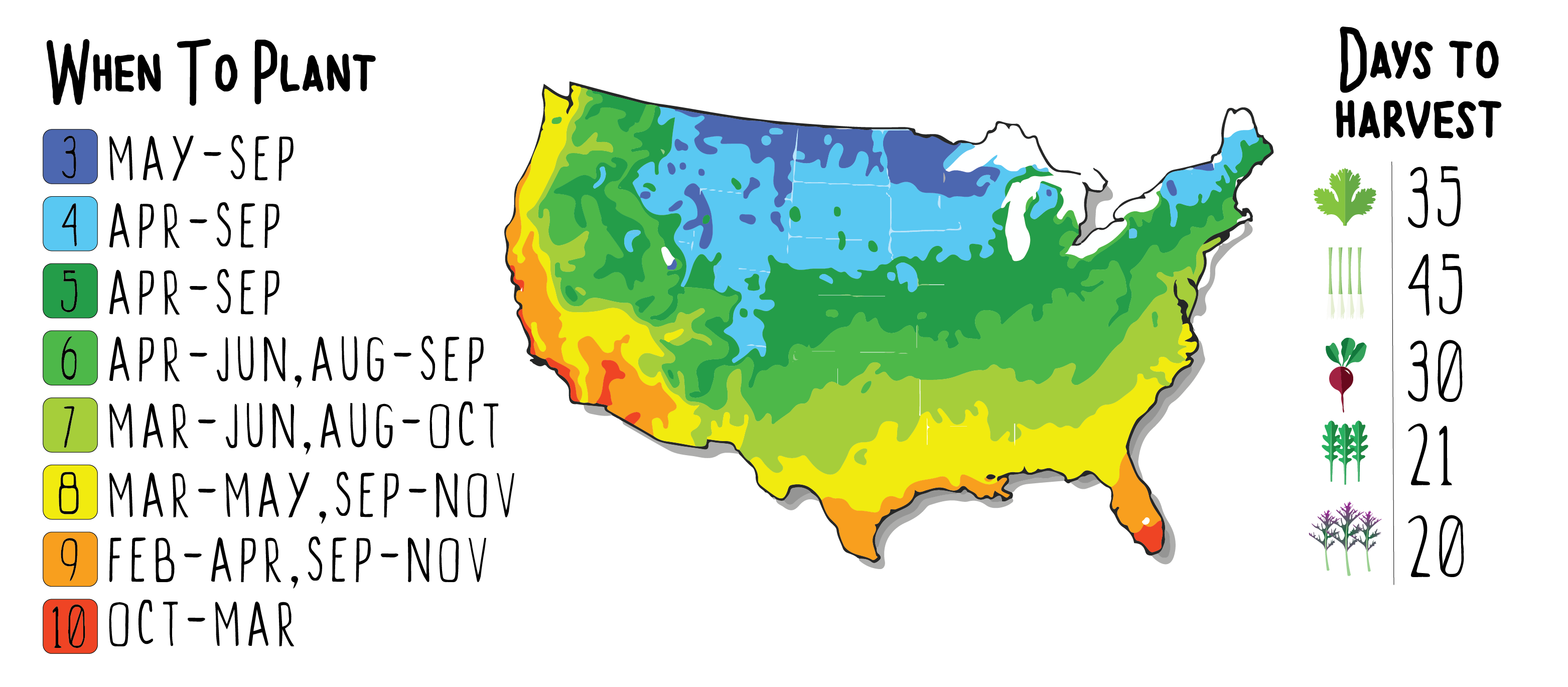 GYO Tacos Seedsheet - Seedsheet